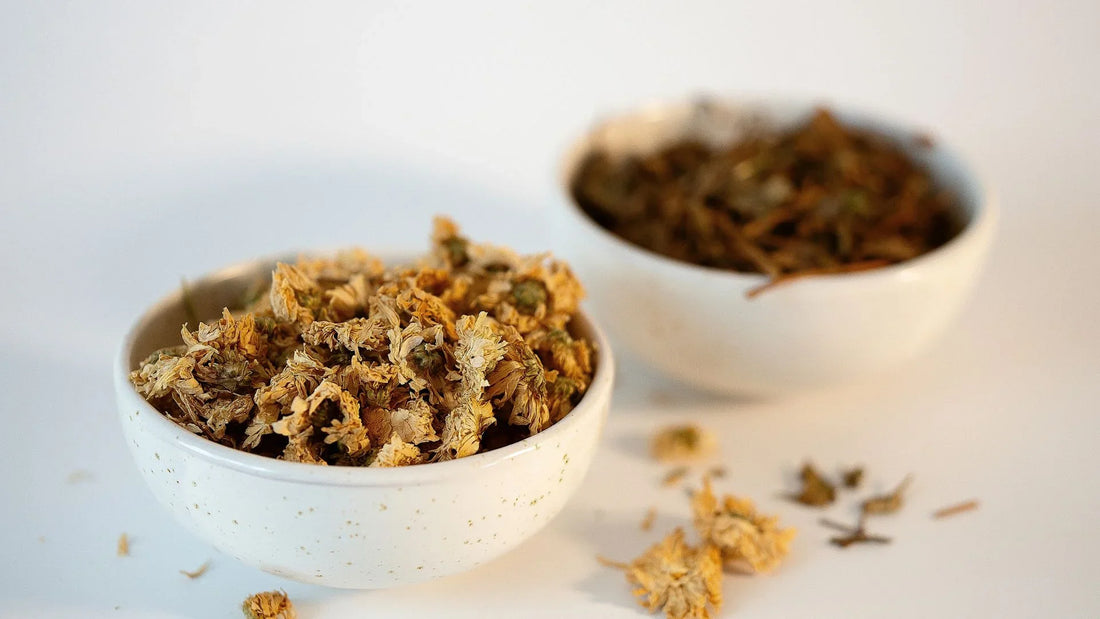 Chrysanthellum Indicum and Houttuynia Cordata in elegant white ceramic bowls showcase LUWIN's product authenticity