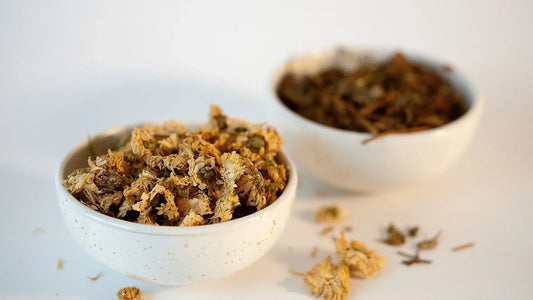 Chrysanthellum Indicum and Houttuynia Cordata in elegant white ceramic bowls showcase LUWIN's product authenticity