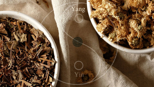 Chinese herbs - Houttuynia Cordata and Chrysanthellum Indicum in elegant white ceramic bowls with Yin Yang graphic on top