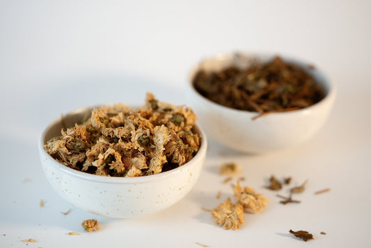 Traditional Chinese Medicine (TCM): Our Lifelong Obsession – Part I