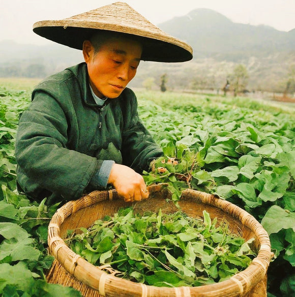 Feature product image