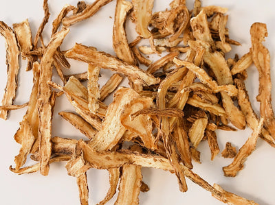 Angelica Sinesis