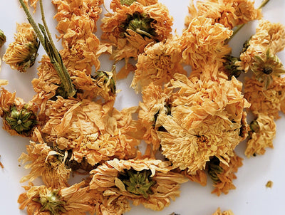 Chrysanthellum Indicum