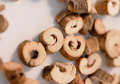 Paeonia Suffruticosa root