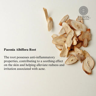 Power of Brightening & Renewal Serum