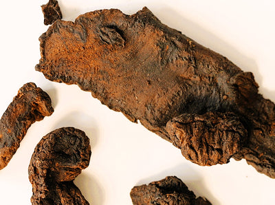 Rehmannia Chinesis root