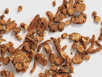 Scutellaria Caicalensis root