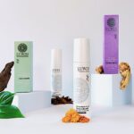 LUWIN super set in colourful elegant boxes packaging